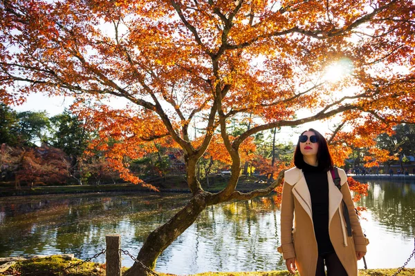 Nara Park is a large park in central Nara city, one of the oldest parks in Japan, established in 1880.  Over thousand of deer have become symbol of the park, its was surprisingly tame. Within easy by train, so the avid explorer has much to discover.