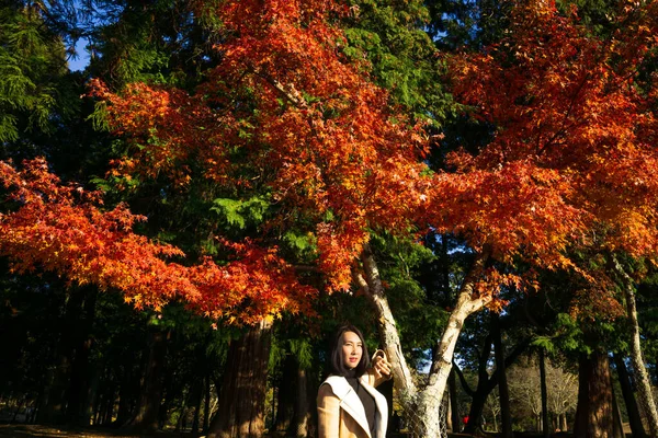 Nara Park is a large park in central Nara city, one of the oldest parks in Japan, established in 1880.  Over thousand of deer have become symbol of the park, its was surprisingly tame. Within easy by train, so the avid explorer has much to discover.