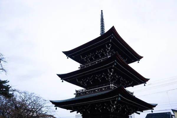 Hida Kokubunji寺始建于746年 长达1200多年 与后面那棵巨大的金银树相仿 这座建筑是该市最古老的建筑 1821年重建了三层楼塔 — 图库照片