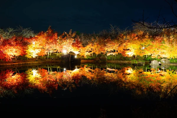 Nabana Sato Een Botanische Tuin Themapark Kuwana City Beschikt Meest — Stockfoto