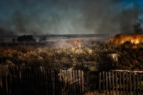 Ground fire - burning grass in the steppe — Stock Photo, Image
