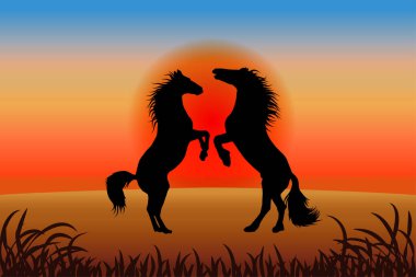 Romantik at geçmişi - iki aygır gün batımına karşı büyüdü