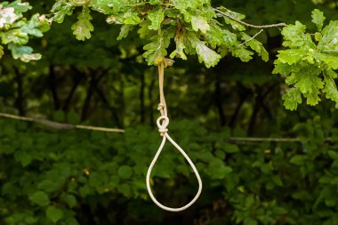 Gallows loop hanging on a tree clipart