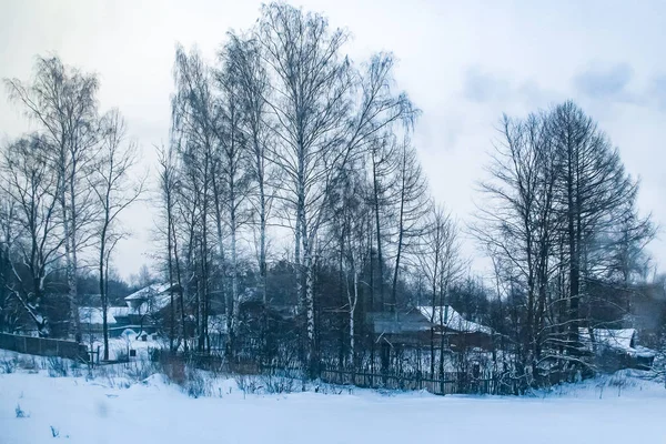 Vinter Mörk Skog Skymningen — Stockfoto