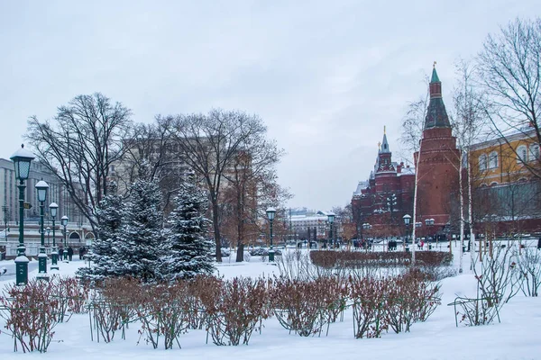 Vinter Molnig Dag Centrum Moskva Snötäckt Park — Stockfoto