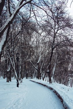 Kışın parkta kar yolu