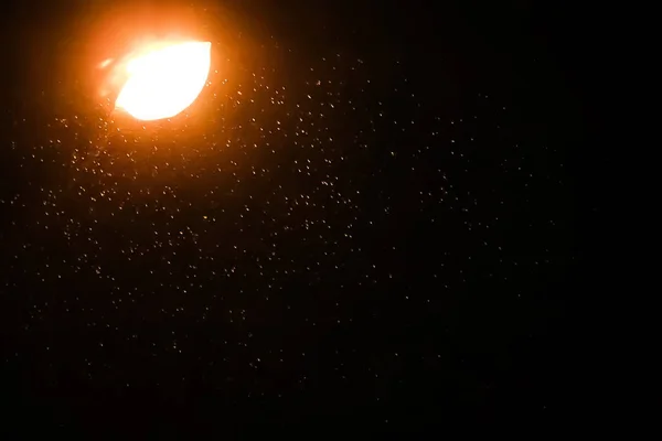 Caduta Neve Sotto Lanterna Nella Notte — Foto Stock