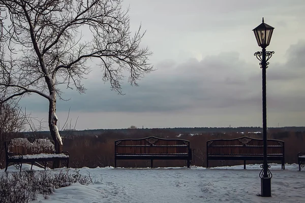 Фонарь Зимнем Парке Против Вечернего Неба — стоковое фото