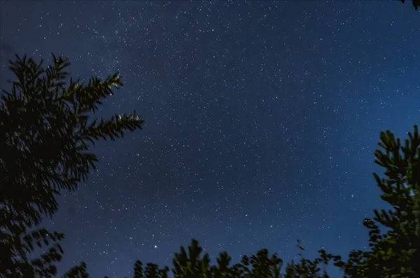 Stelle Nel Cielo Nero Costellazioni Osservazioni Astronomiche — Foto Stock