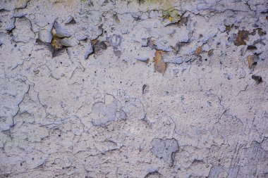 Duvarda eski kabuk soyma kaplaması var.