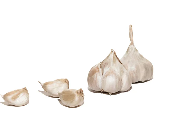 Garlic Heads Isolated White Background Two Dried Heads Garlic Cloves — Stock Photo, Image