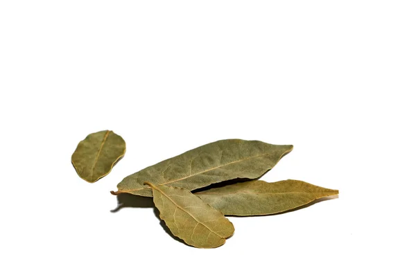 Dried Bay Leaf Isolated White Background Dried Laurel Leaves Isolated — Stock Photo, Image