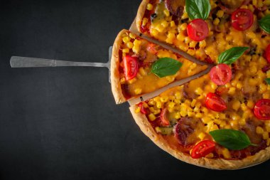 Siyah arka planda domatesli ve fesleğenli büyük İtalyan pizzası. Siyah arka planda vişneli, peynirli ve yeşil fesleğenli büyük pizza. Ulusal İtalyan yemeği Akdeniz mutfağı. Üst görünüm, metin için yer.