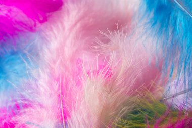 Bir karnaval kostümü için bir sürü açık renkli tüy. Tasarım için arkaplan.