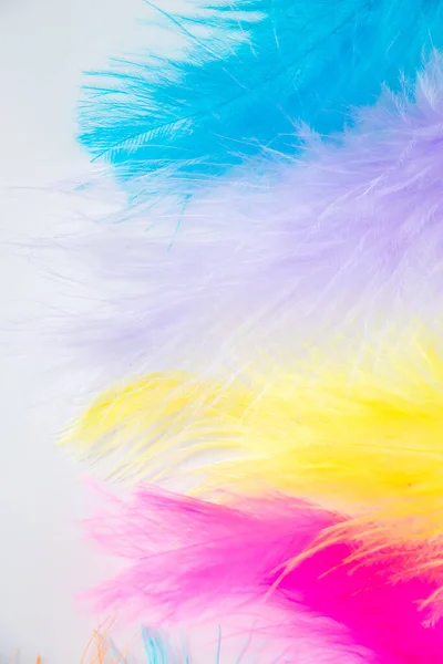 Multi-colored light feathers on a white background. The process of creating decorations for the holiday, feather for boa. Vertical photo