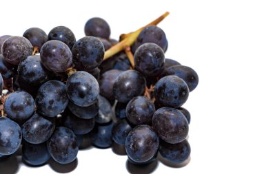 Beyaz arka planda izole edilmiş bir sürü koyu üzüm. Olgun koyu üzümlerden oluşan bir dal beyaz arka planda izole edilmiş yakın plan. Şarap yapmak için gerekli malzemeler.