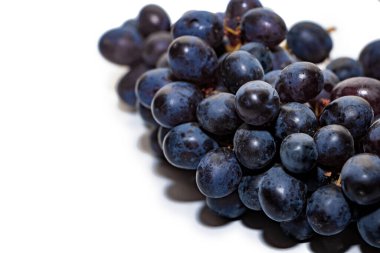 Beyaz arka planda izole edilmiş bir sürü koyu üzüm. Olgun, koyu üzümlü yakın plan beyaz arka planda izole edilmiş. Metin için yer.