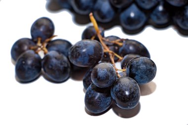 Beyaz arka planda izole edilmiş bir sürü koyu üzüm. Olgun koyu üzümlerden oluşan bir dal beyaz arka planda izole edilmiş yakın plan. Şarap yapmak için gerekli malzemeler.