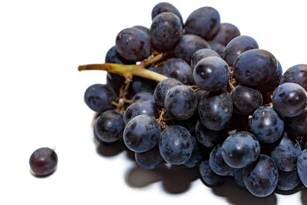 白い背景に隔離された濃いブドウの房 ダークブドウはワインを作るための材料である 白地に隔離された果実 — ストック写真