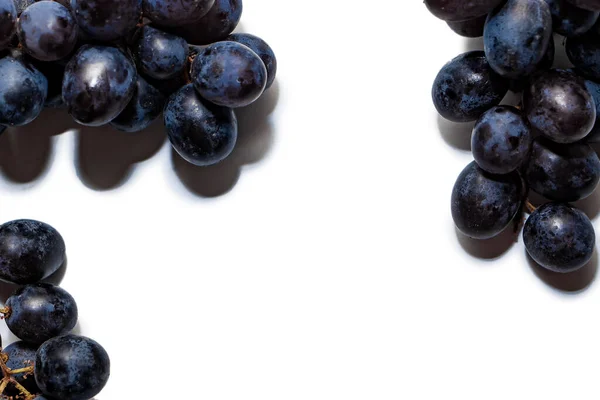 Érett Frissen Szedett Sötét Szőlő Elszigetelt Fehér Alapon Gyümölcskeret Tervezéshez — Stock Fotó