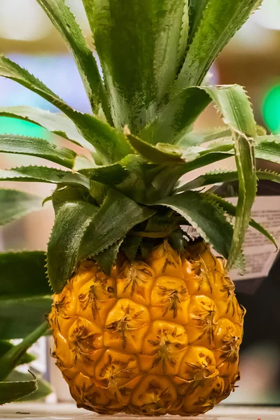 Mini Ananasy Półce Supermarkecie Dojrzałe Owoce Tropikalne — Zdjęcie stockowe