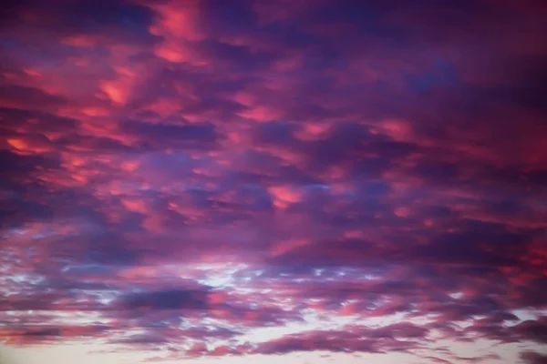 Beautiful Sky Sunset Purple Pink Unusual Clouds Blurred Background Design — Stock Photo, Image