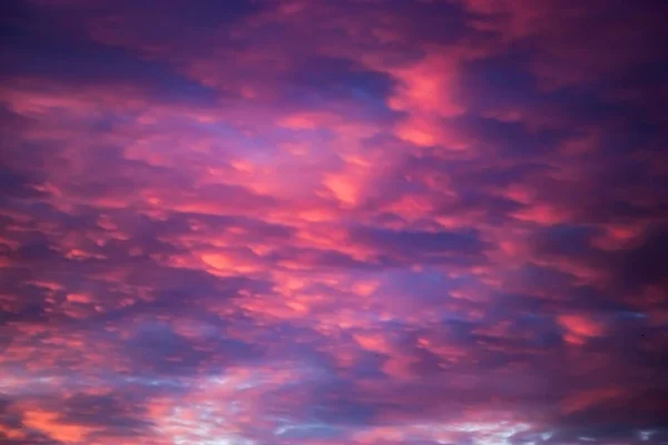 Beautiful pink sunset on the sky. Purple clouds in the sun. Blurred background for design. Selective focus.