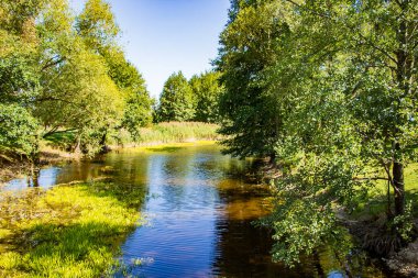 Yeşil ağaçların arasında güzel bir gölet. Yaz güneşli manzarası