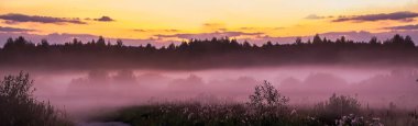 Gün batımında güzel pembe bir sis. Ormandaki alacakaranlık. Tasarım için bulanık arkaplan. Sancak biçimi