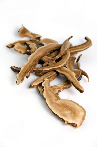 Lingzhi svamp, kinesisk traditionell medicin, Ganoderma Lucidu — Stockfoto