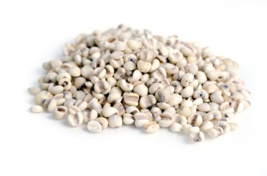 Darı pirinç fasulye, darı taneleri üzerinde beyaz izole