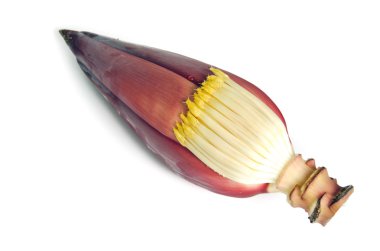Muz çiçeği, muz (muz çiçeği olarak olarak da bilinir) bud isolat