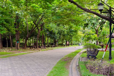 Ağaç, bitki, yol ve sandalyeler için rahatlatıcı bir parkta
