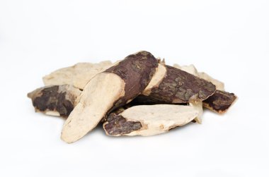 Trigonostemon reidioides Kurz Craib beyaz izole.