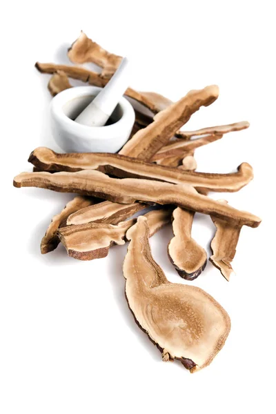 Lingzhi mushroom, Chinese traditional medicine, Ganoderma Lucidu — Stock Photo, Image