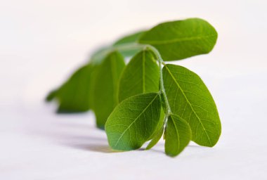 Ahşap tahta arka plan üzerinde izole Moringa yaprak