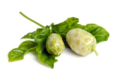 Noni egzotik tropik meyve üzerinde beyaz izole