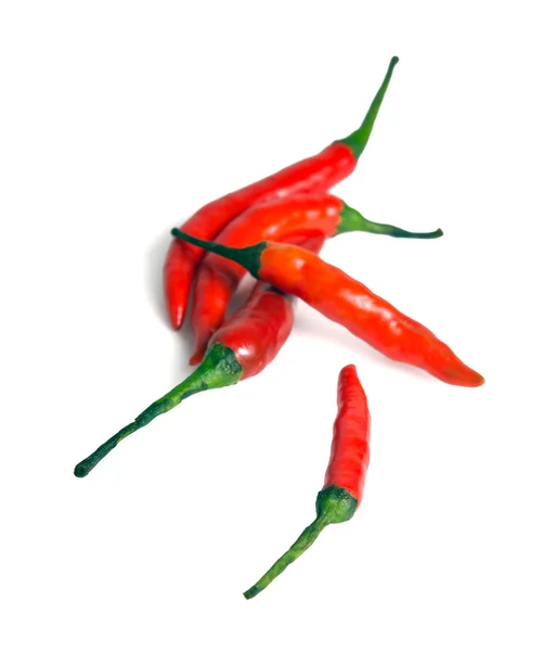 Chili pepper isolated on white background — Stock Photo, Image