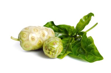 Noni egzotik tropik meyve üzerinde beyaz izole
