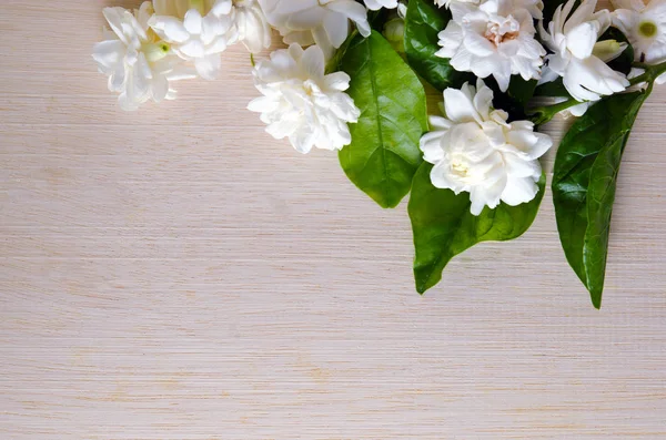 Gelsomino fiore su tavola di legno sfondo con testo in bianco copia spa — Foto Stock