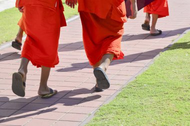 Genç Buda keşiş yol boyunca yürüyüş