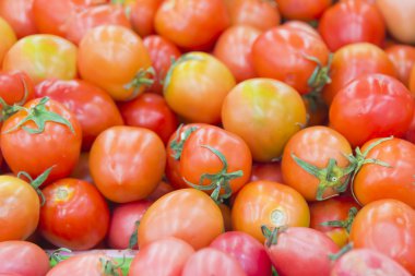 yakın çekim için domates taze Market Raf