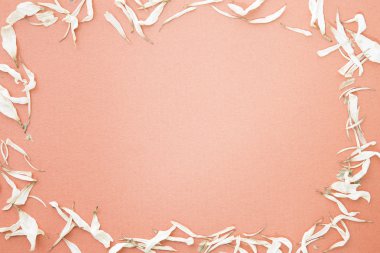 Vintage tarzı kuru çiçek ile turuncu arka plan