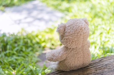 Bahçe sahne ile tahta oturan bebek ayı