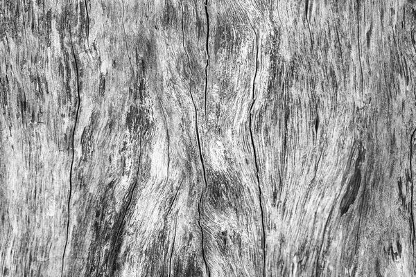 The wooden texture background with the black and white tone — Stock Photo, Image