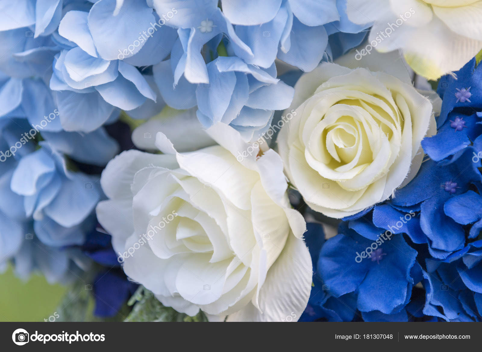 La Rose Blanche Avec La Fleur Bleue Photographie Phuchit