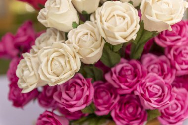 Pembe ve beyaz gül çiçek. 