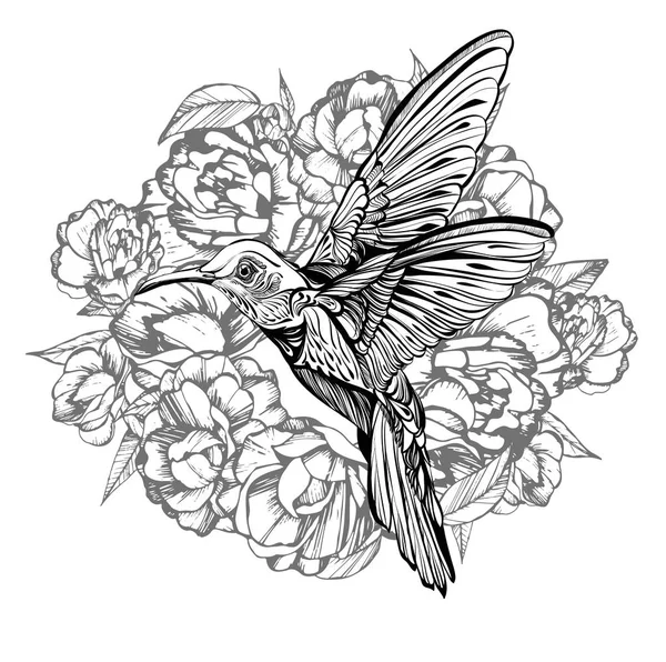 Colibrí en vuelo. Dibujo detallado de un pájaro. Ilustración vectorial aislada sobre fondo blanco, en flores. — Vector de stock