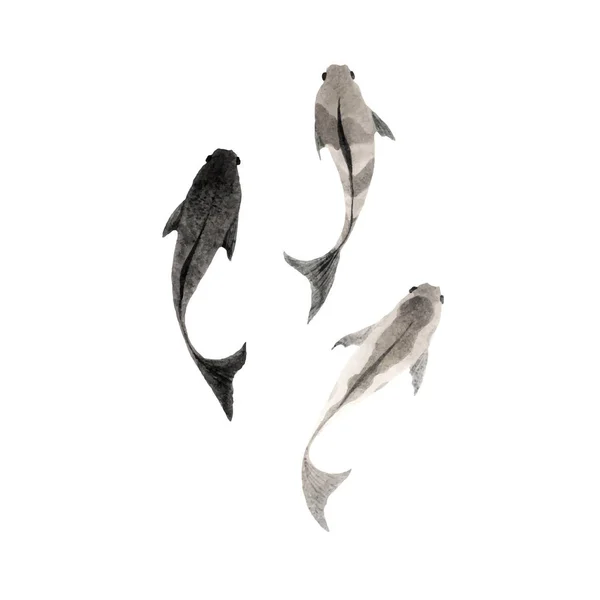 Fish ink illustration — Stock Vector