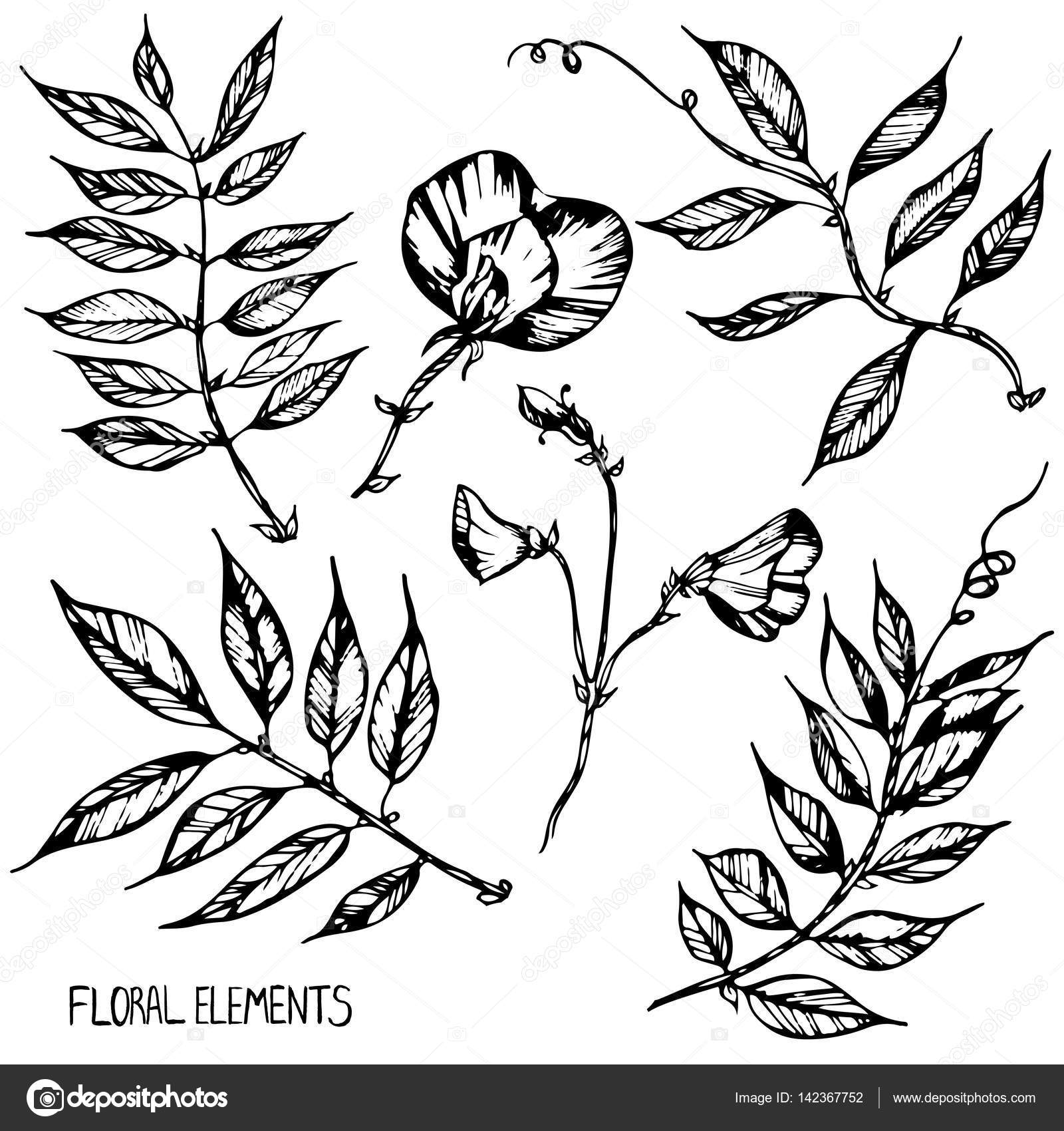 Sweet Pea Encre Capillaire De Stylo Fait Main Livres à